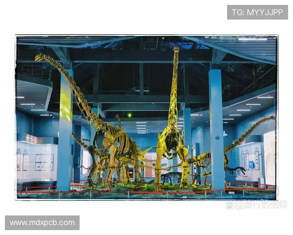 探寻世界各大足球俱乐部崛起之路与时代变迁的多维全景深度解析