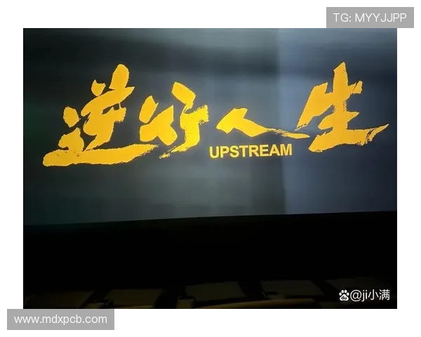 崔永熙：从平凡到卓越的奋斗历程与人生感悟